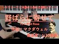 野ばらに寄せて (To a Wild Rose) / エドワード・マクダウェル (Edward Alexander MacDowell)【サラリーマン30歳から始める趣味ピアノ】♪49曲目