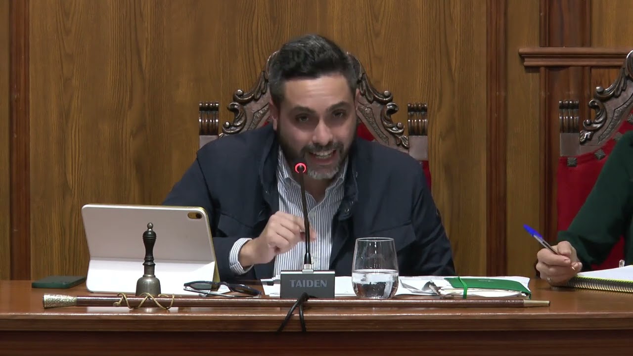 PLENO ORDINARIO 10-11-2025