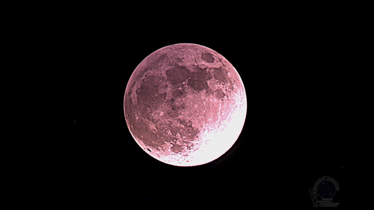 Live Partial (almost a total!) Lunar Eclipse from Hawaii, 19 November ...