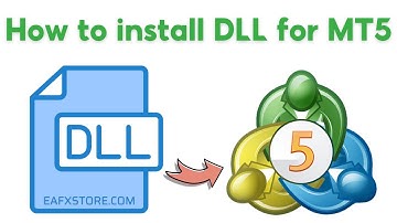 Instructions for installing DLL (4380+) on the latest MetaTrader 5 platform 2024 | FX STORE EA