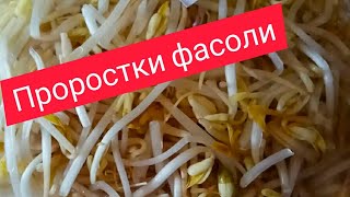 Проростки фасоли и постные сосиски.Вкусно с пользой. Проростки фасоли и постные сосиски.Вкусно с пользой.