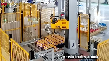 WIN-WIN PACK Single-Column Palletizer | Carton Stacking with Mechanical Clamp Gripper #palletizing