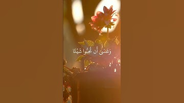 قرآن كريم 📖 بصوت القارئ 🎤 فارس عباد