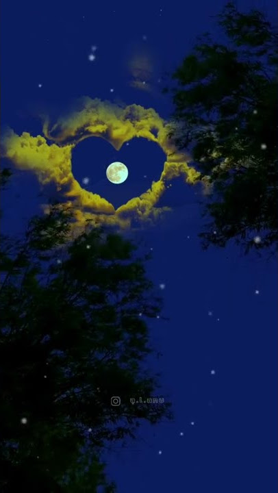 Thanimaiye Thanimaiye🎵❤️#shorts #whtsappstatus #sad #sadstatus #lovestatus #tamil #tamilsong #reels