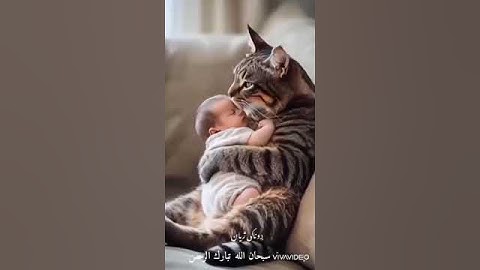 سبحان الله العظيم #تلاوة_خاشعة #المغرب #السعودية #الجزائر #مصر