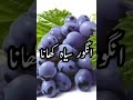 Khwab Main Angoor Safaid Khana Angoor Siah Khana Angoor Ki Bail Daikhna Khwab Main Angoor Safaid Khana Angoor Siah Khana Angoor Ki Bail Daikhna