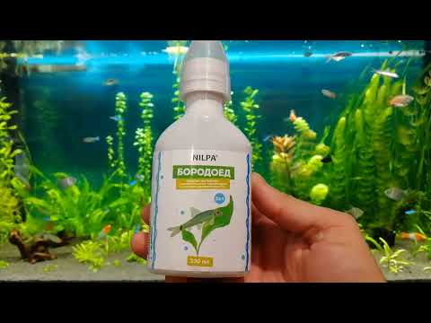 Борьба с водорослями