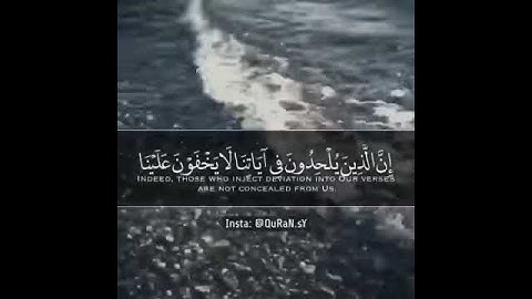 قرآن كريم بصوت اسلام صبحي ⚡🔊 أجمل حالات واتس اب دينية مقاطع دينية قصيرة مقاطع انستقرام دينية
