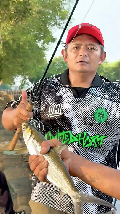 MILKFISH CATCH IS TOP 😘😘😘