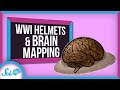Neuroscience Discoveries from Wartime Injuries