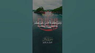 الله الذي جعل لكم الأرض قراراً والسماء بناء.. #سعد_الغامدي #سورة_غافر #ريحانة_قرآن #قرآن #تلاوات