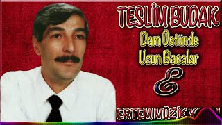 Teslim Budak - Dam Üstünde Uzun Bacalar
