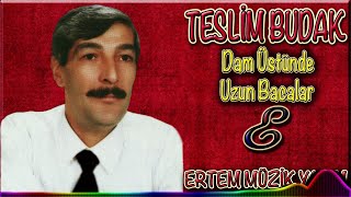 Teslim Budak-Dam Üstünde Uzun Bacalar Resimi