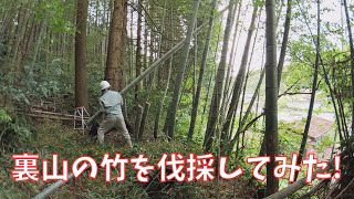 家の裏山の竹を伐採してみた！