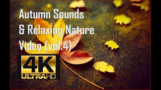 4K New 2022 Autumn Sounds & Relaxing Nature Video - Sleep/ Relax/ Study/ Meditate - Ultra HD vol. 2