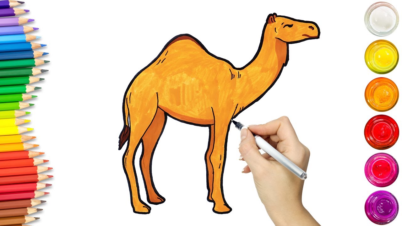 Premium Photo | Minimalistic Camel Cartoon Doodle on White Background
