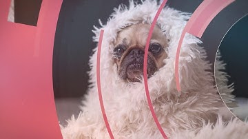 Circle Slideshow | After Effects Template | Video Displays