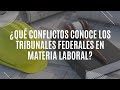 ¿Qué conflictos conoce los tribunales federales en materia laboral?