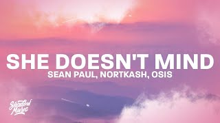 Sean Paul - She Doesn't Mind NORTKASH & OSIS Remix [(lyrics)] | 1 HOUR