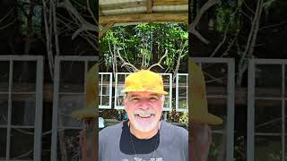 Tuesday with Ed. The Bob Peck Edition 