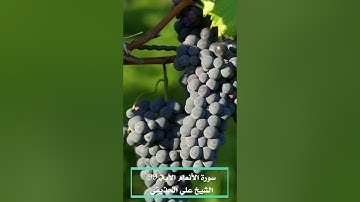 وهو الذي أنزل من السماء ماء ... تلاوات خاشعة بصوت الحذيفي
