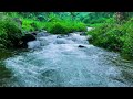 Calm River Flow for Sleep and Meditation – 1 Hour of Pure Water Sounds