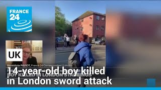 UK police say 14-year-old boy killed in London sword attack • FRANCE 24 English