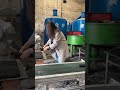 Bbq charcoal briquettes making machine#charcoalpowder#barbecue#hookah#carbon#charcoalmachine#fyp