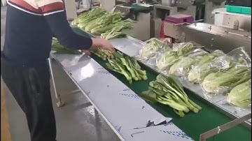 Vegetable packing machine high efficient & low cost for small business