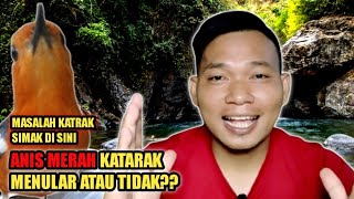 KATARAK APAKAH MENULAR? SIMAK VIDEO NYA MAS BRO TENTANG PENYAKIT KATARAK