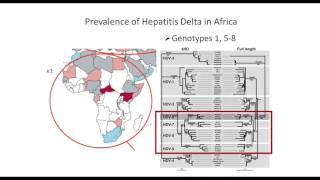 Hepatitis Delta  The Hidden Epidemic