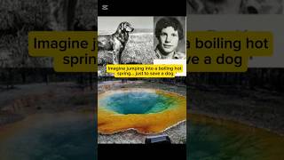 He Jumped Into a BOILING Hot Spring to Save a Dog… 😳 #history #art