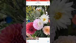 How To Send Photos From Your Cell Phone screenshot 3