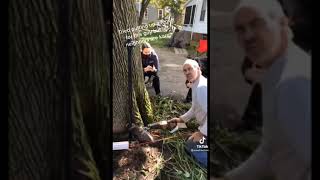 neighborhood Karen's freak out over trees getting cut for a fence