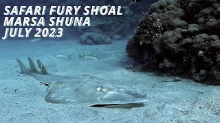 SAFARI FURY SHOAL - MARSA SHUNA - LIPIEC 2023