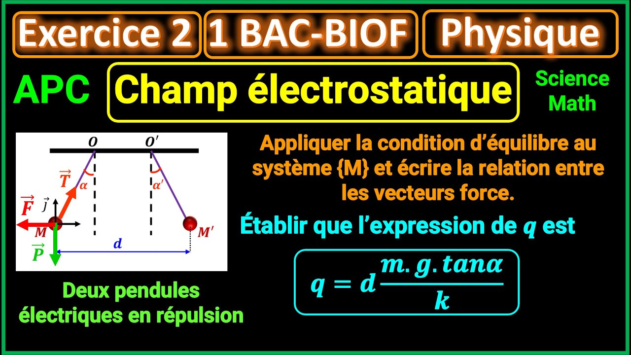 Exercice 2: Champ électrostatique || 1BAC - BIOF