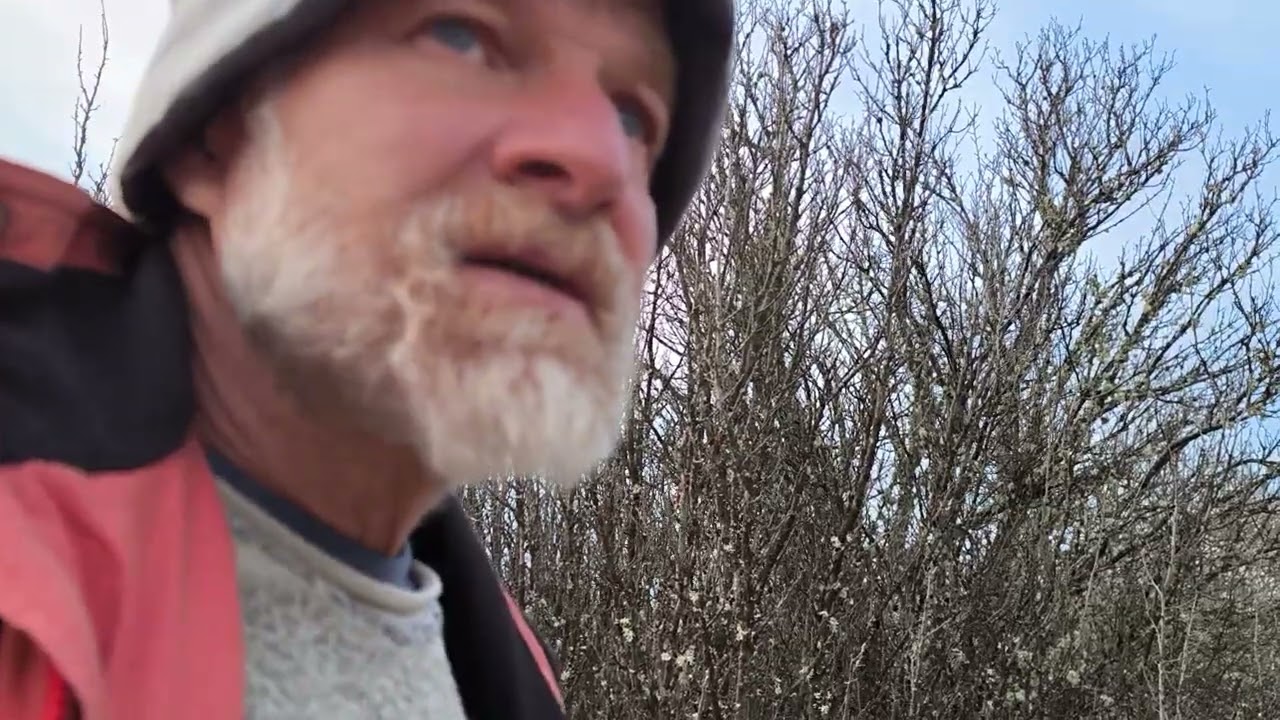 Как да разпознаем Джанка от Слива, Трънка от Трънкослива и други екстри?