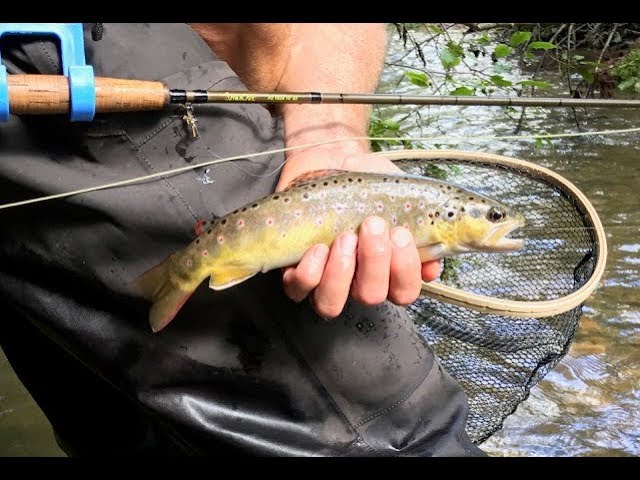 Lively Legz Fly Fishing on Instagram: Big Shrive's first fish of 2024 is a  beautiful wild brown trout. Lively Legz Crew Livelylegz.com Tie One On!  #flyfishing #troutfishing #catchandrelease #paflyfishing #wildtrout  #nativetrout #fyp #