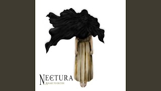 Video thumbnail of "Nectura - Awake to Decide"