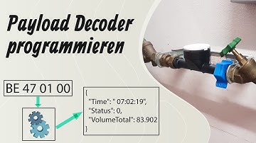LoRaWAN Expertenthema: Einen Javascript Payload Decoder programmieren