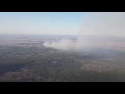 Авіація ДСНС гасить лісову пожежу у Чорнобильській зоні