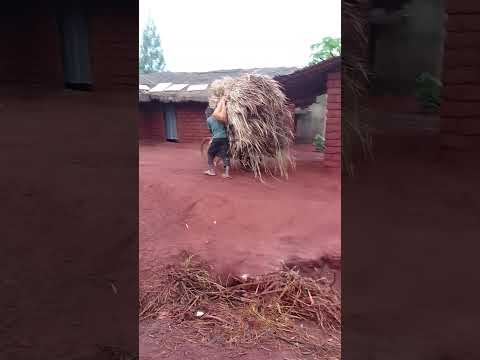 Mwamini Mungu Ipo Siku Utafanikiea