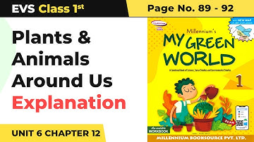 Class 1 EVS Unit 6 Ch 12 | Plants & Animals Around Us- Explanation | My Green World Book Pg No 89-92