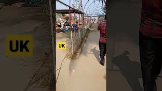 UK Uk urakanda bangladesh
