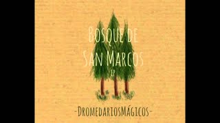 Dromedarios Mágicos - Mildred (Audio Oficial) chords