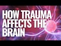 How Trauma Affects the Brain