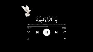 تلاوة هادئه بصوت القارئ بسام العلي