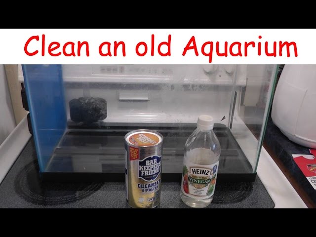 Removing Hard Water Stains from Aquarium # How to remove calcium build-up  or white lines 