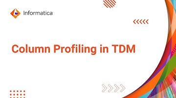 Column Profiling in TDM