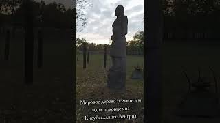 Мировое дерево и идол половцев из Кисуйсаллаша. Венгрия.#дерево #половцы#идолы #венгрия#топ #рек #